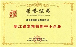 浙江省專精特新企業(yè)