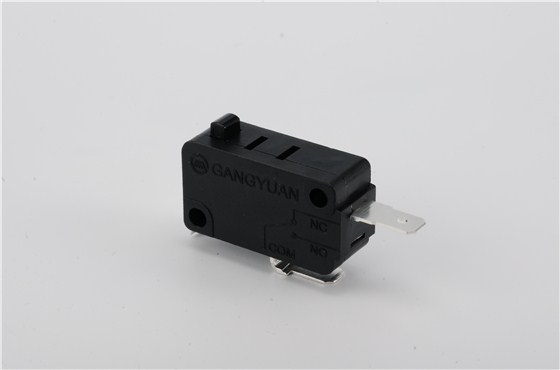 G15-10SM05-40微動開關(guān)