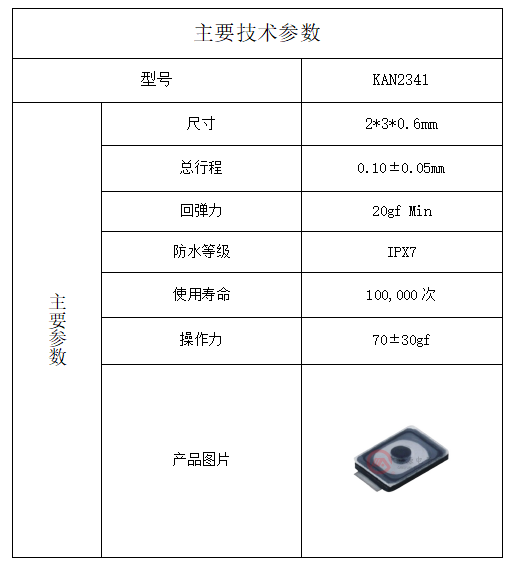 輕觸開關